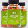 Reviv CBD Gummies