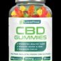 BlissRise CBD Gummies