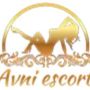 avniescort