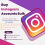 Buy Instagram Accounts Bulk